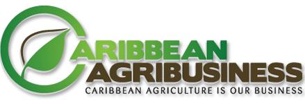 Caribbean Agri-Business
